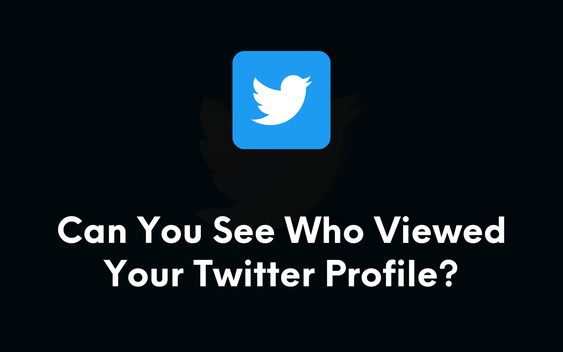 How to See Who Viewed Your Twitter Profile? (2024)